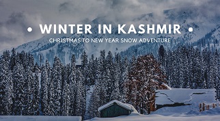 Enchanting Kashmir Escape – A Journey to Paradise