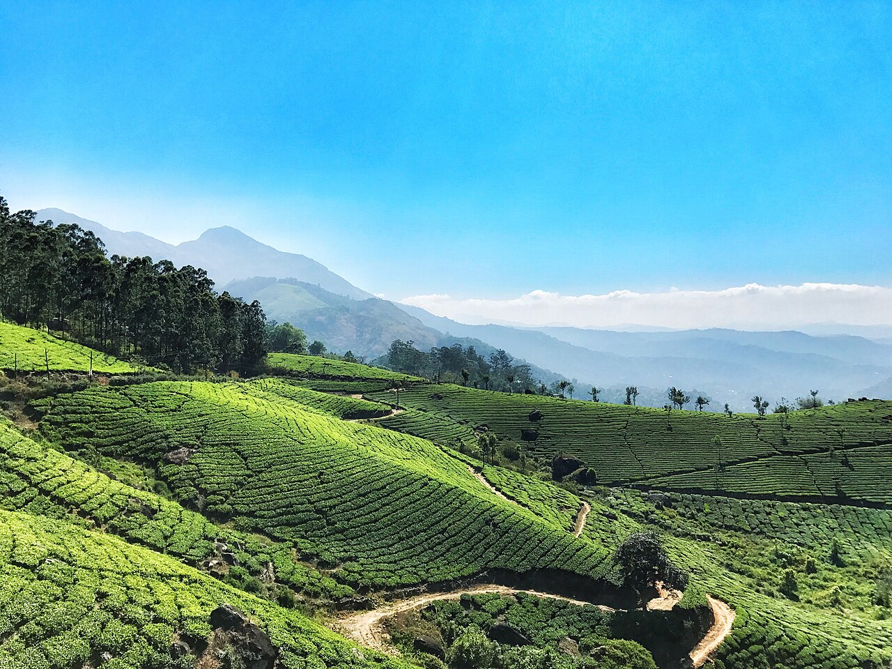 5 Nights / 6 Days - Munnar 02N + Thekkady 01N + Houseboat 01N + Cochin 01N